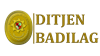 logo_badilag web.png